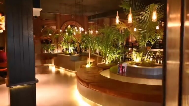 A restaurant bar area with a sculptural curved counter, indoor palms, and warm pendant lighting, designed by ZM Architects.